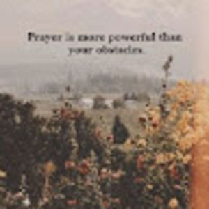 Meet your Posher, Ema